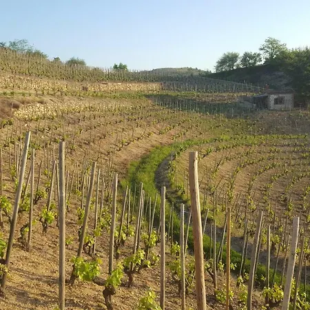 Дом отдыха Les Vignes Ardechoises - Peuplier *