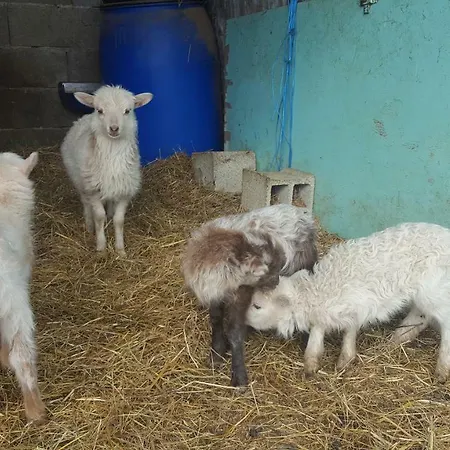 Les Vignes Ardechoises - Peuplier Дом отдыха Sarras