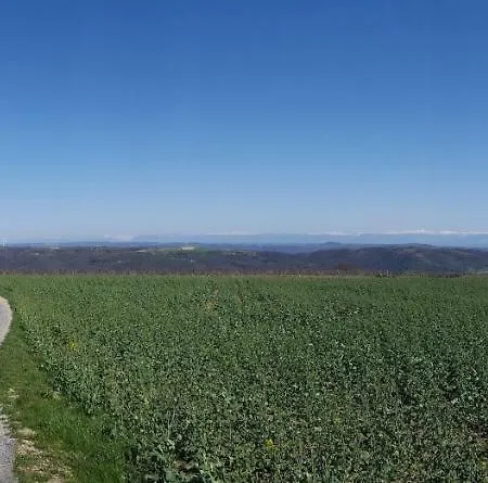 Les Vignes Ardechoises - Peuplier Дом отдыха *