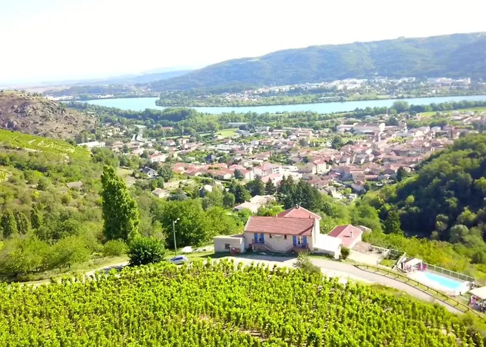 Les Vignes Ardechoises - Peuplier Sarras