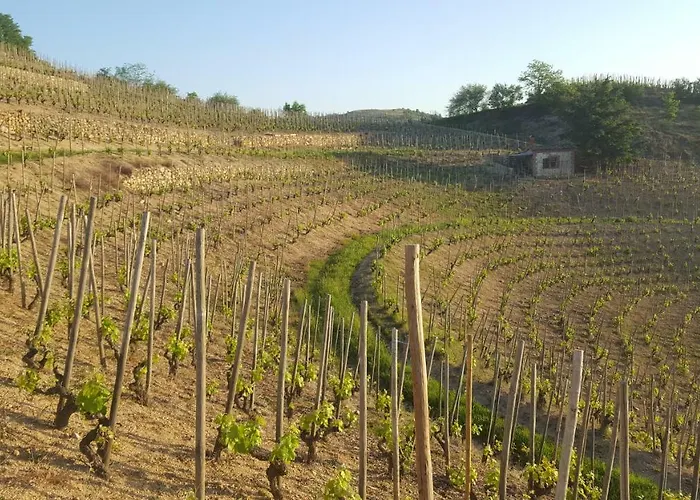 Holiday home Les Vignes Ardechoises - Peuplier *