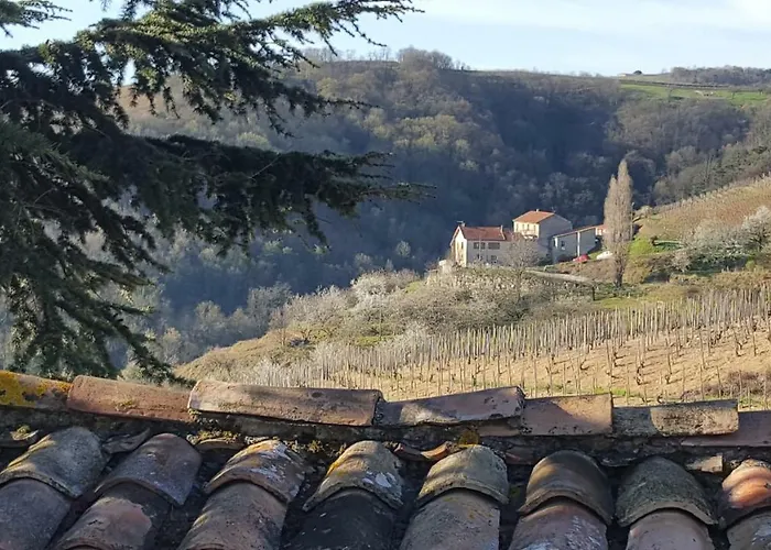 Les Vignes Ardechoises - Peuplier Sarras