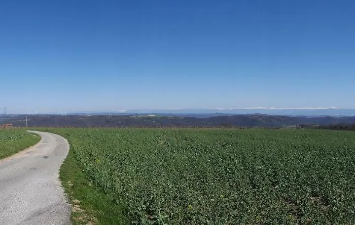 Les Vignes Ardechoises - Peuplier Holiday home *