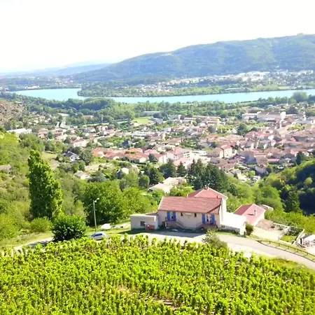 Les Vignes Ardechoises - Peuplier Sarras