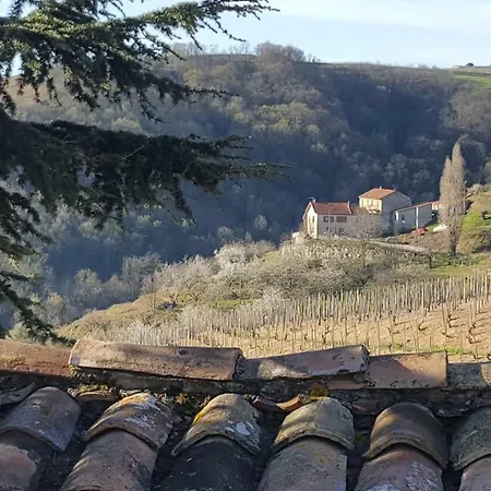 Les Vignes Ardechoises - Peuplier Sarras