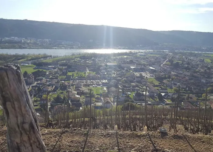 Casa vacanze Les Vignes Ardéchoises - Peuplier
